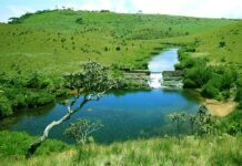 Horton Plains National Park – Explore Sri Lanka’s Cloud Forests and Scenic Highlands