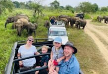 Minneriya National Park – Witness the Spectacular Elephant Gathering in Sri Lanka