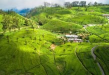 Haputale – A Serene Escape in Sri Lanka’s Central Highlands