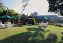 Bandarawela – A Tranquil Hill Country Escape in Sri Lanka