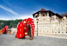Temple of the Sacred Tooth Relic – The Spiritual Heart of Kandy, Sri Lanka